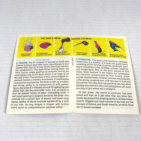 Tru-Vue Film Cards Set of 3 Stereoview Bird Life Ornithology Young Scientist VTG - Picture 7 of 8